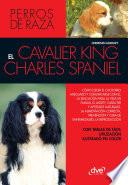 EL cavalier King Charles spaniel