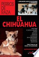 El Chihuahua