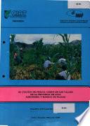 El Cultivo De Frejol Comun En Los Valles De La Provincia De Loja Agronomia Y Manejo De Plagas