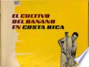 El Cultivo del banano en Costa Rica