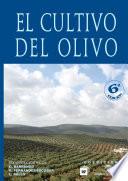 El cultivo del olivo