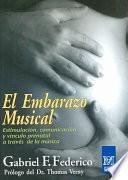 El Embarazo Musical