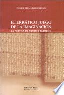 El errático juego de la imaginación