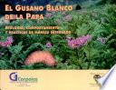 El Gusano Blanco De La Papa