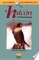 El halcón peregrino