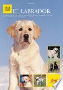 El labrador