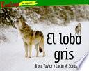 El lobo gris / The Gray Wolf