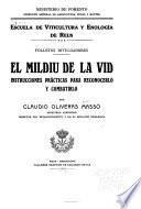 El mildiu de la vid