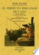 El perfecto pescador de caña