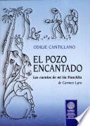 El pozo encantado