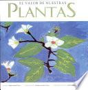El valor de nuestras plantas