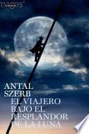 El viajero bajo el resplandor de la luna