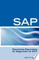 Elementos Esenciales De Seguridad De Sap
