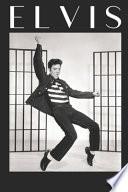 Elvis Planificador