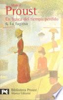 En busca del tiempo perdido