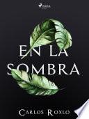 En la sombra