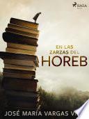 En las zarzas del Horeb