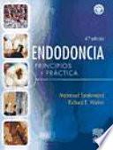 Endodoncia, principios y práctica, 4a ed.