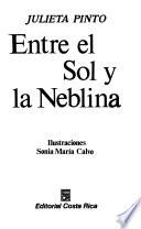 Entre el sol y la neblina