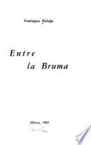 Entre la bruma