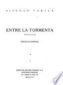 Entre la tormenta, novela