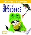 ¿Es igual o diferente?