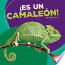 ¡Es un camaleón! (It's a Chameleon!)
