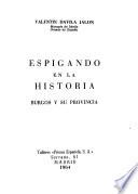 Espigando en la historia