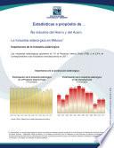 Estadísticas a propósito de la industria del Hierro y del Acero
