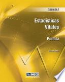 Estadísticas vitales. Puebla. Cuaderno número 9