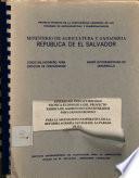 Estudio de Prefactibilidad Tecnica-economica Del Proyecto Fabrica de Alimentos Concentrados Para Ganado Bovino
