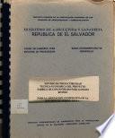 Estudio de prefactibilidad técnica-económica del proyecto fábrica de concentrado para ganado bovino. Para la Asociación Cooperativa de la Reforma el Tercio de R.L.