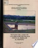 Estudio del Caso de la Cuenca del Rio Palaja Hasta el Embalse el Nispero