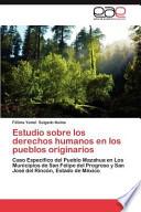 Estudio sobre los derechos humanos en los pueblos originarios