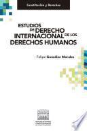 Estudios de derecho internacional de los derechos humanos.