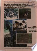 Estudios Ecologicos de Raices en Sistemas Agroforestales: Experiencias Metodologicas en El Catie