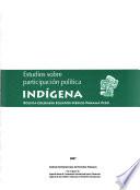 Estudios sobre participación política indígena
