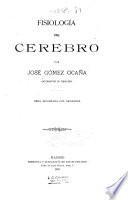 Fisiología del cerebro
