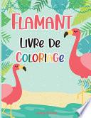 Flamingo Livro de Colorear