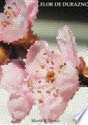 Flor de Durazno