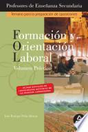 Formacion Y Orientacion Laboral. Profesores de Enseñanza Secundaria. Volumen Practico. E-book