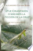 ¿Fue crucifixión o mas bien la ficcion de la cruz?