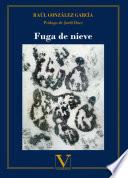 Fuga de nieve