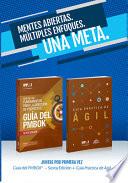 Fuia de los Fundamentos para la direccion de proyectos / A Guide to the Project Management Body of Knowledge PMBOKR