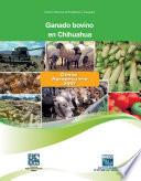 Ganado bovino en Chihuahua. Censo Agropecuario 2007