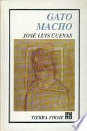 Gato macho/ Brave Cat