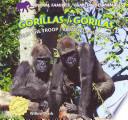 Gorillas / Gorilas