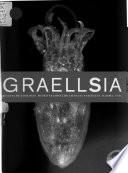 Graellsia