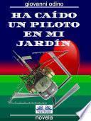 Ha Caído Un Piloto En Mi Jardín