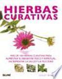 Hierbas curativas
